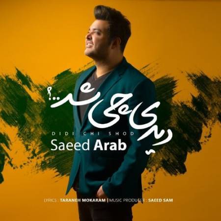 دانلود آهنگ جدید دیدی چی شد از سعید عرب